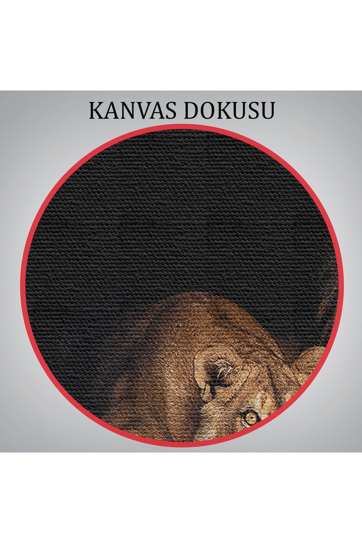 Aslanlar Dekoratif Kanvas Tablo 1151