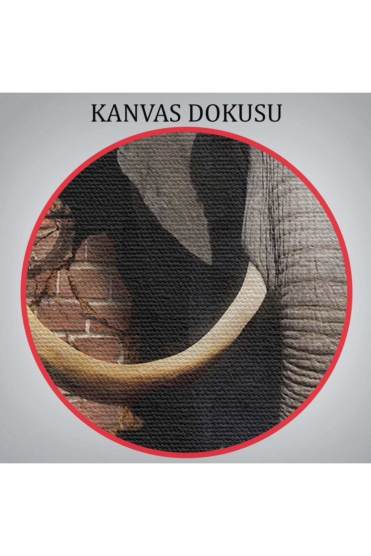 Duvardan Çıkan Fil Dekoratif Kanvas Duvar Tablosu-3620