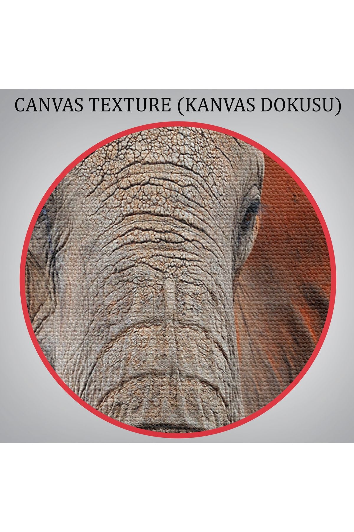 Fil Dekoratif Kanvas Tablo 1167