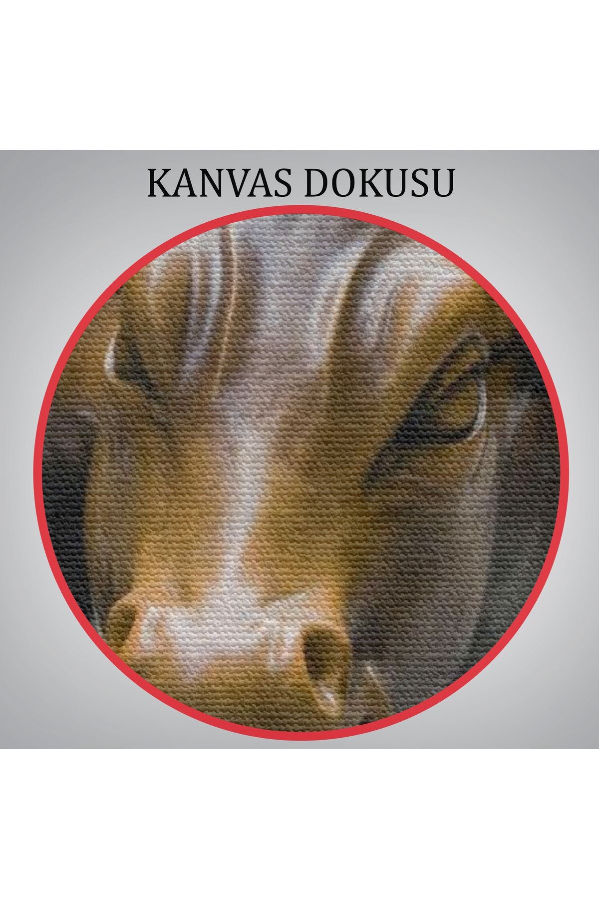 New York Boğa Heykeli Kanvas Tablo / Charging Bull-5160