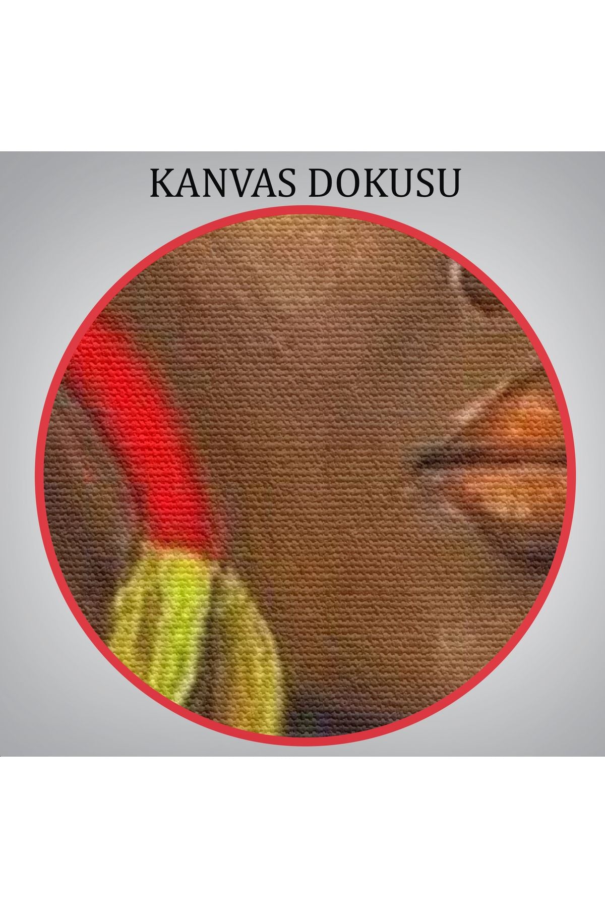 Afro Amerikalı Güzel Kadın Duvar Tablosu-6371