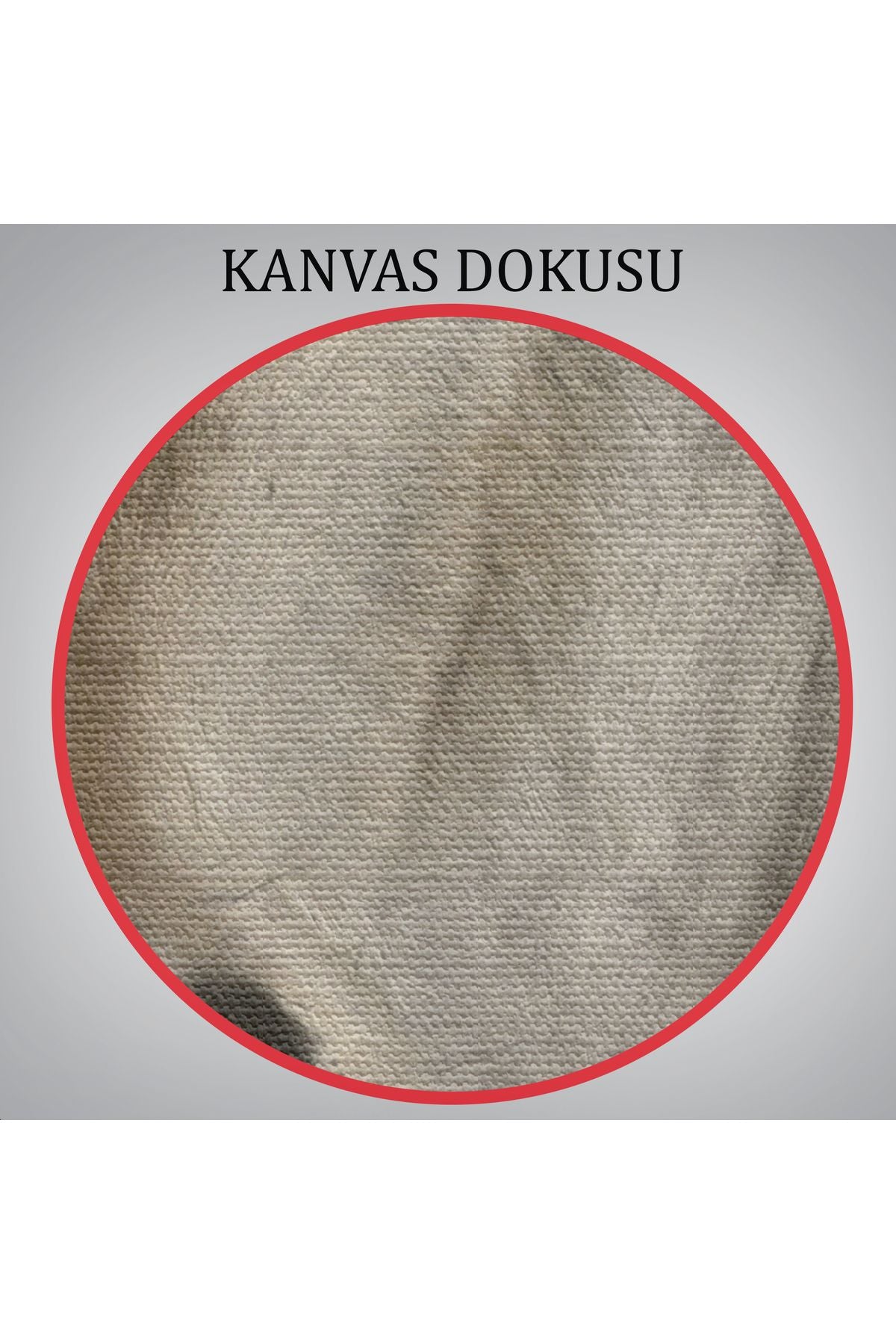 YB HG Keçi Kafalı İnsan Kanvas Tablo-4986