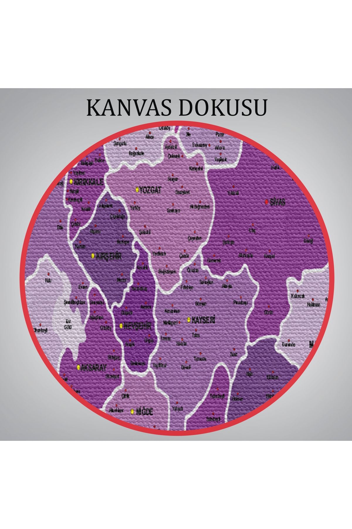 Türkiye Haritası Kanvas Tablo İl ve İlçeli Ayrıntılı Eğitici Dekoratif Tablo 3025