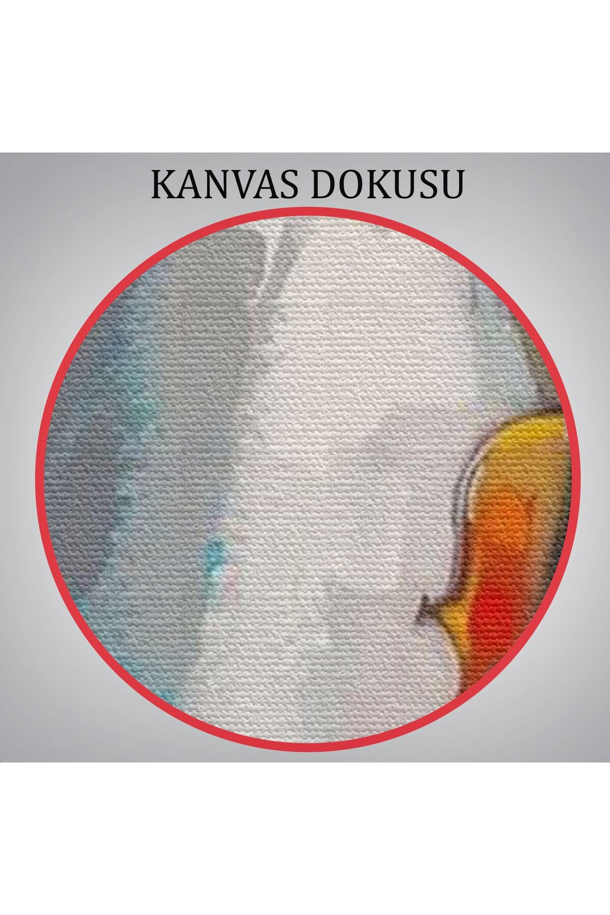 Beyaz Elbiseli Kemani Kadın Duvar Tablosu-6380