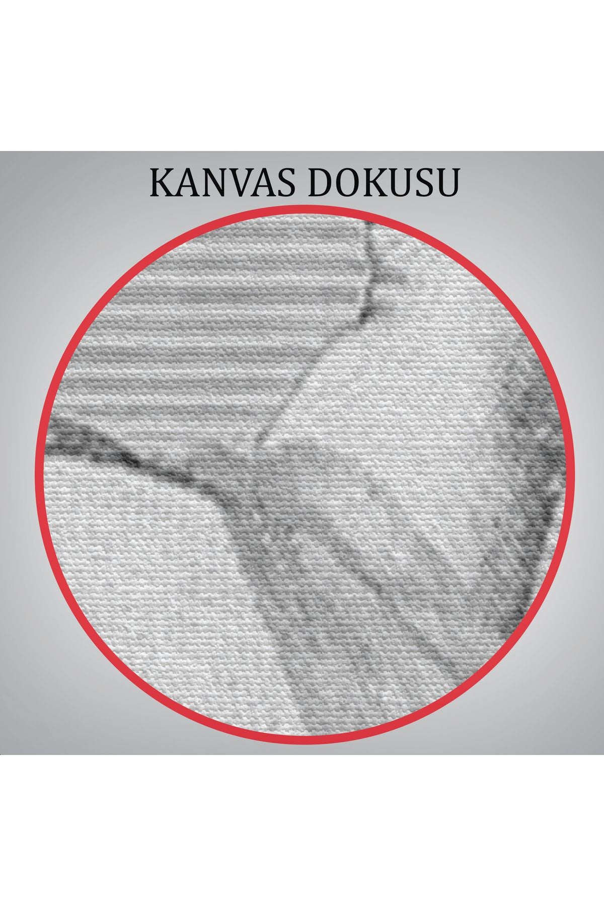 HG Süpürgedeki Cadı, Gotik Sanat Çıplak Cadı Duvar Tablosu-5190