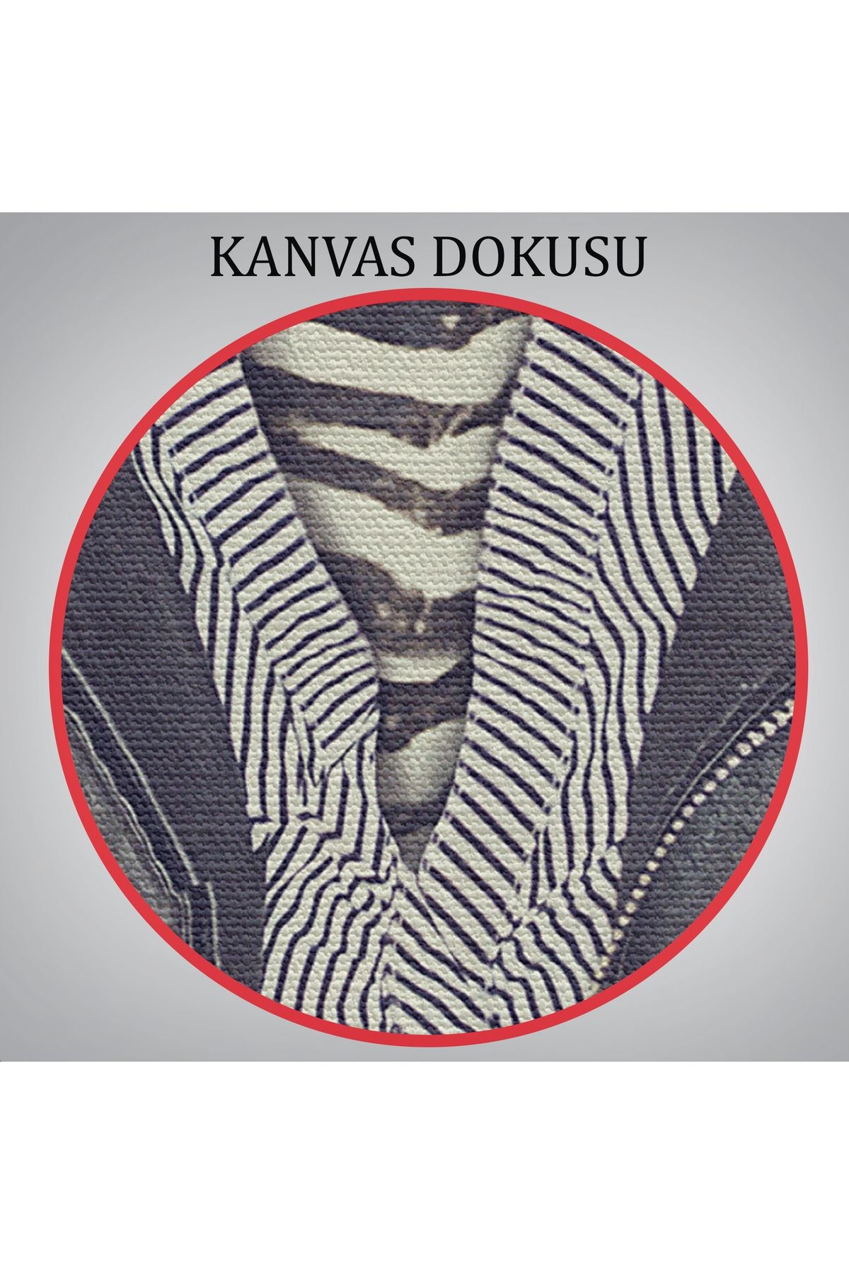 Zebra Kafalı İnsan Kanvas Tablo-4982