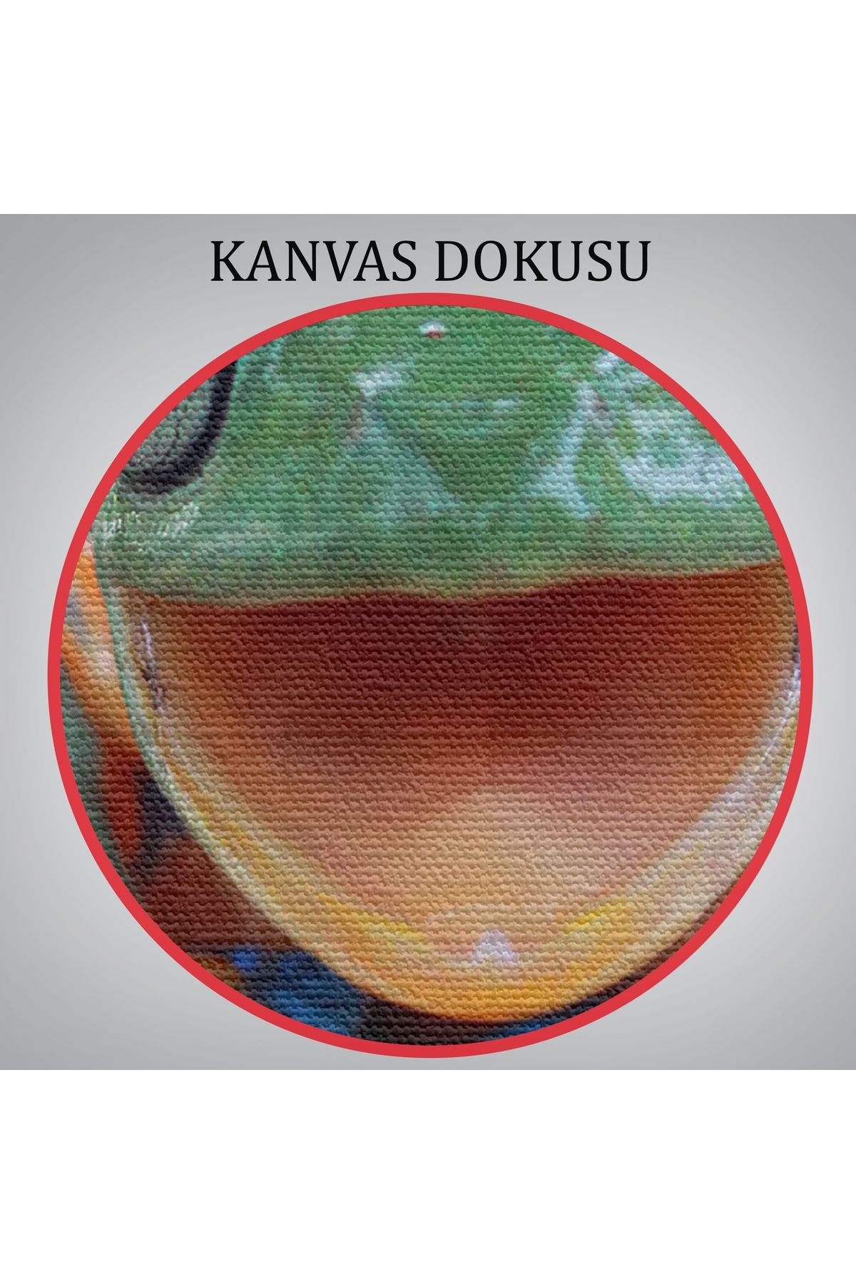 Renkli Gülen Kurbağa Dekoratif Kanvas Tablo 1149