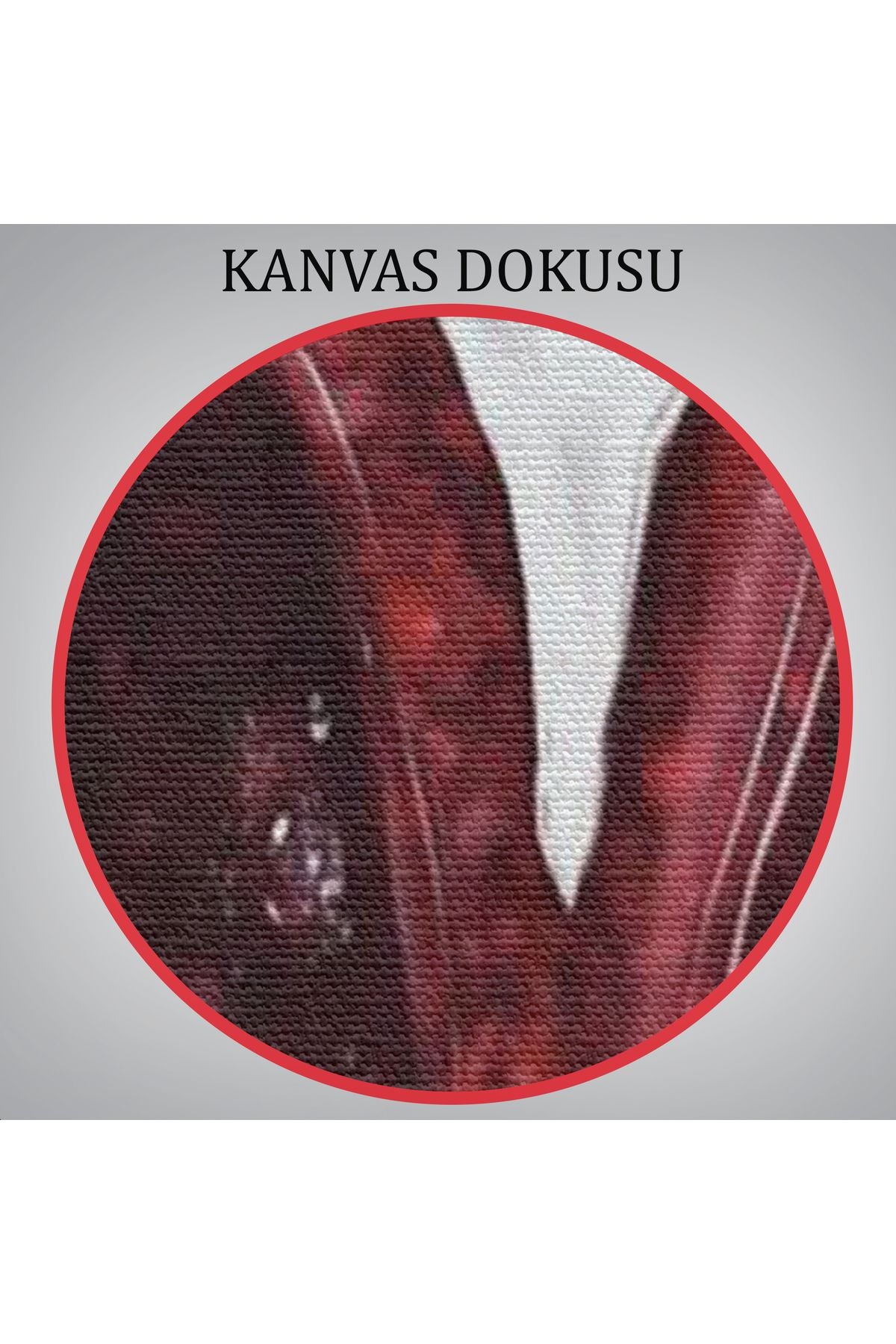 Ağzındaki Kiraz Seksi Dudaklar Duvar Tablosu-6155