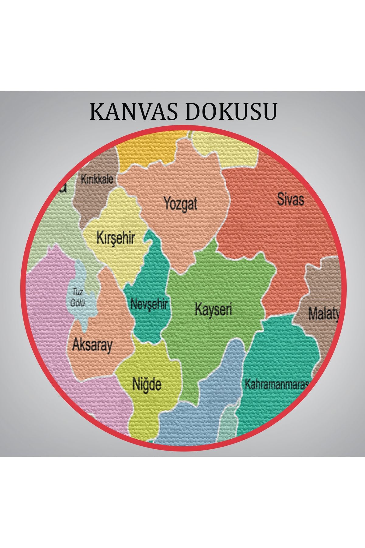 Türkiye Haritası Kanvas Tablo Sınır Komşulu Eğitici Dekoratif Tablo 3096