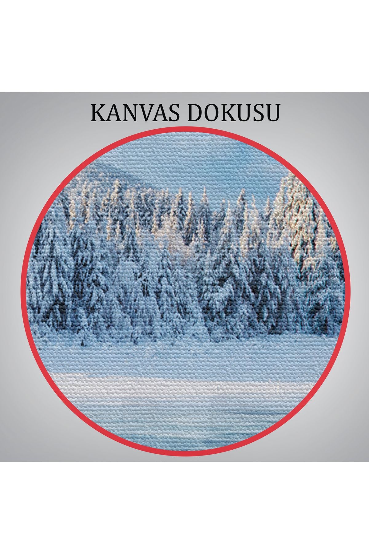 YB HG Donmuş Göl Ukrayna Dekoratif Kanvas Duvar Tablosu-3537