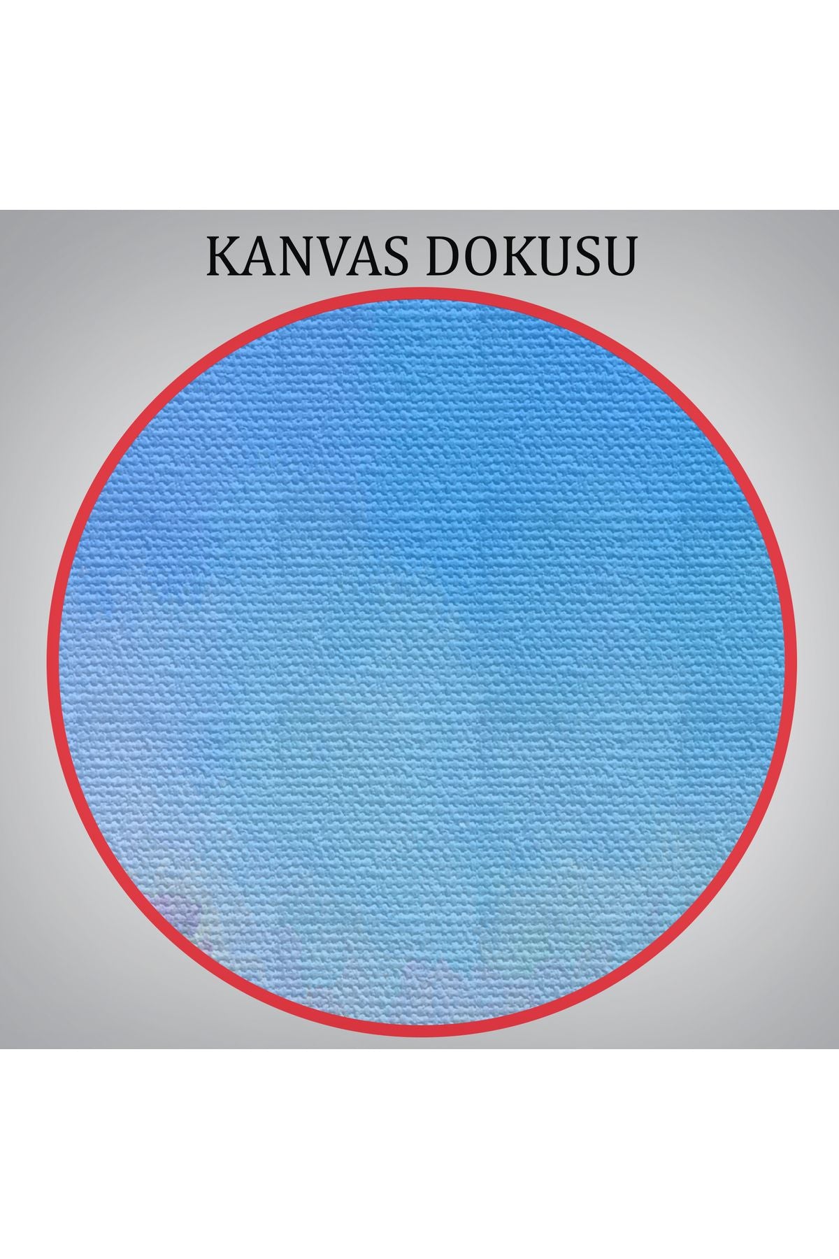 Renkli Çiçekler Salon Dekoratif Kanvas Duvar Tablosu-3479