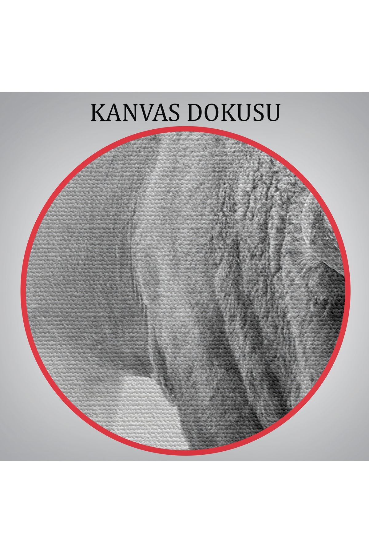 DB Bizon Dekoratif Kanvas Tablo 1160