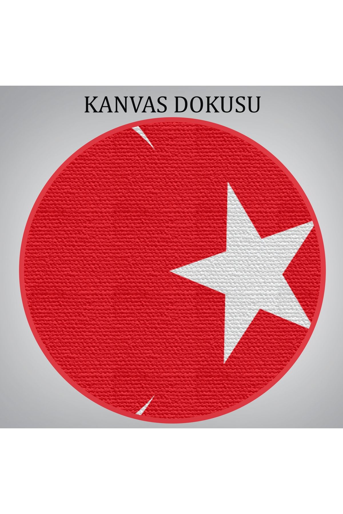 Türk Bayrağı Dekoratif Kanvas Duvar Tablosu-3668