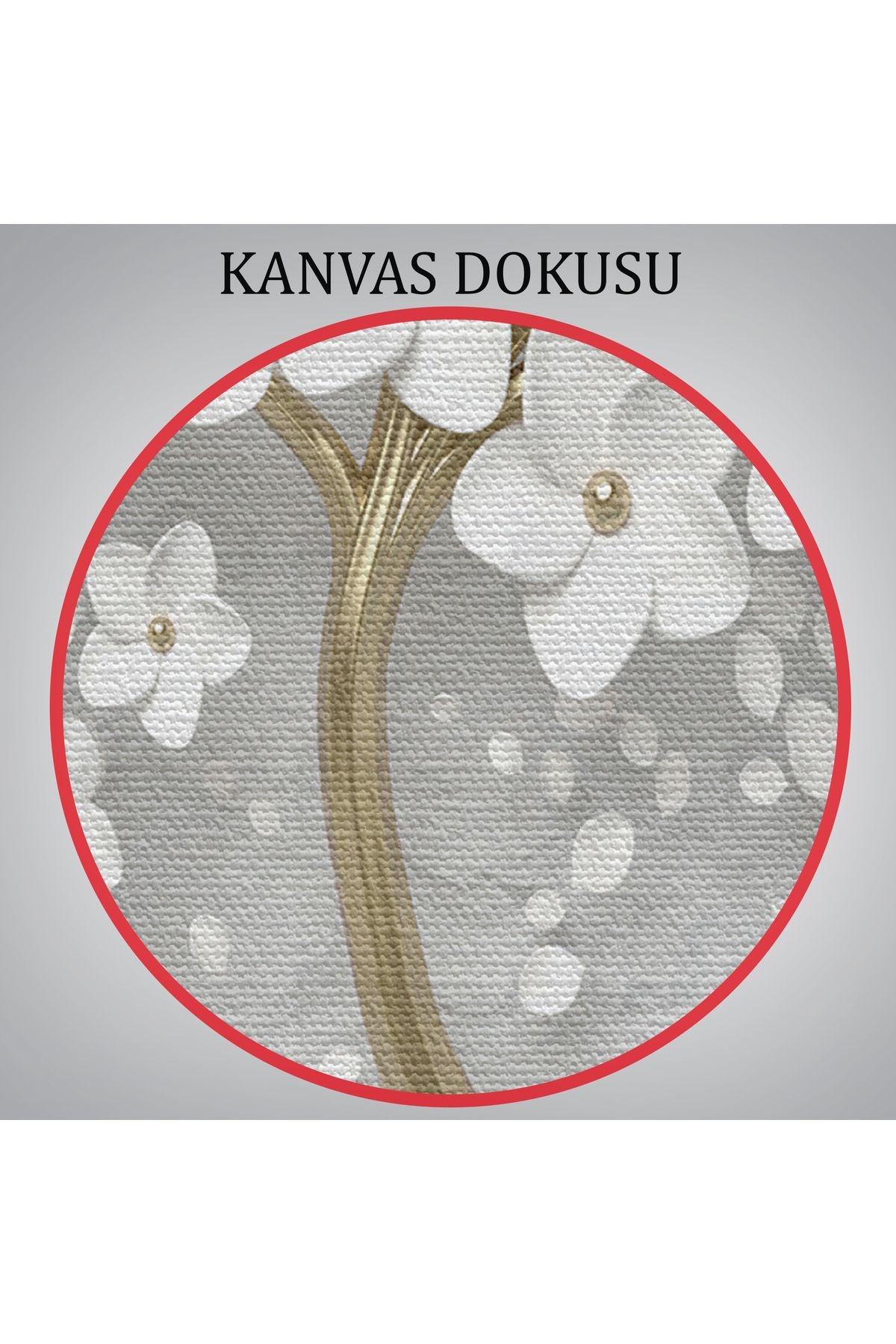 Beyaz Gelincik Ağacı Dekoratif Kanvas Duvar Tablosu-3645