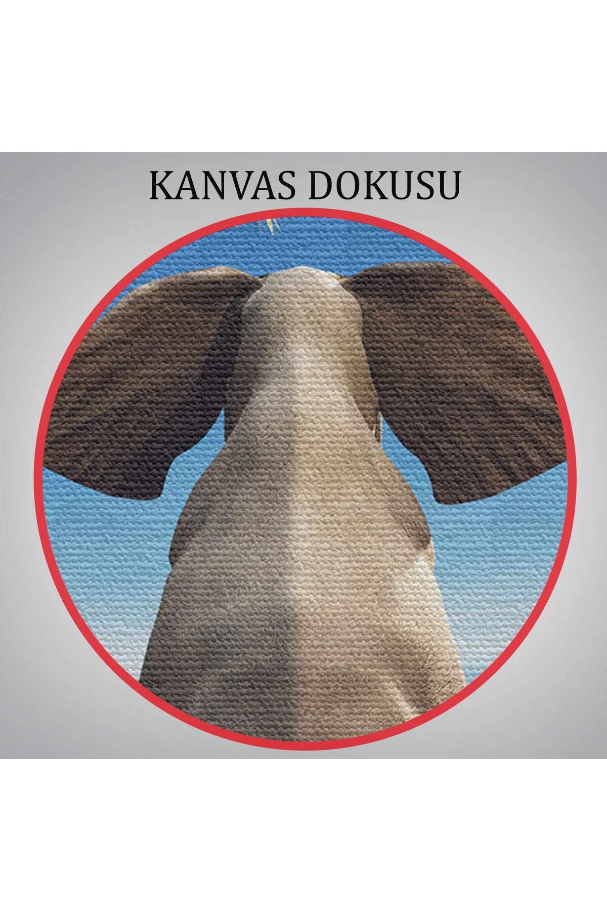 Kanvas Tablo, Duvar Dekoru, Fil, Hayvan Temalı 1141 BUNGKNV