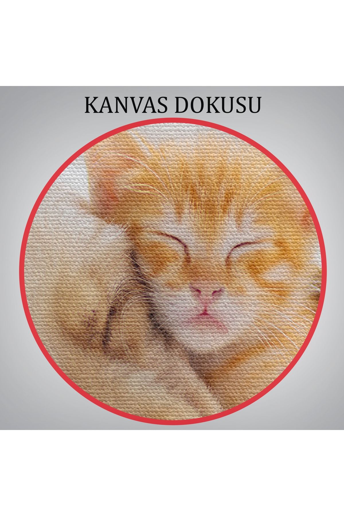 Golden Köpek İle Uyuyan Yavru Kedi Dekoratif Kanvas Tablo 1176