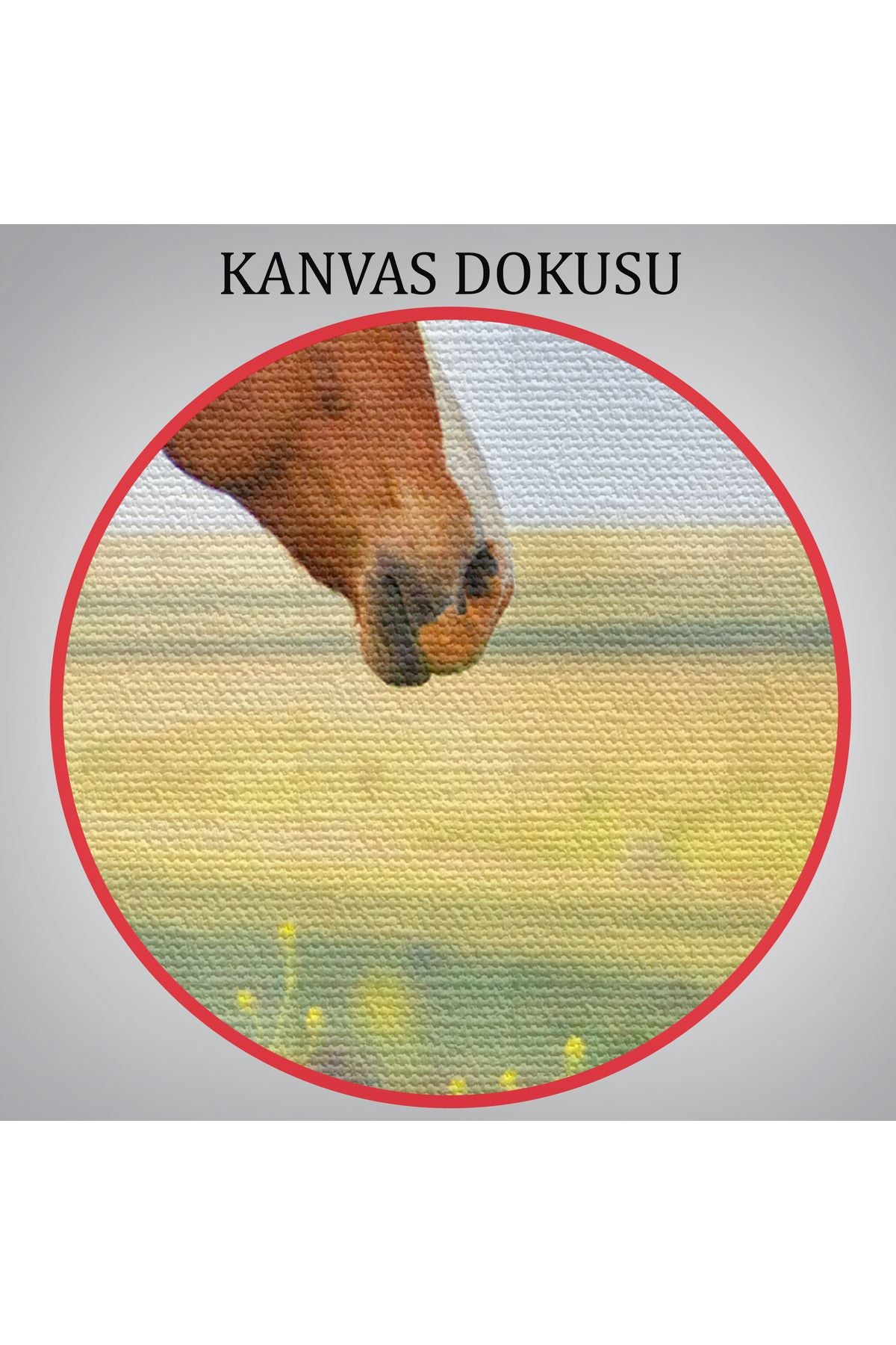 At Ve Manzaralı Dekoratif Kanvas Tablo 1131