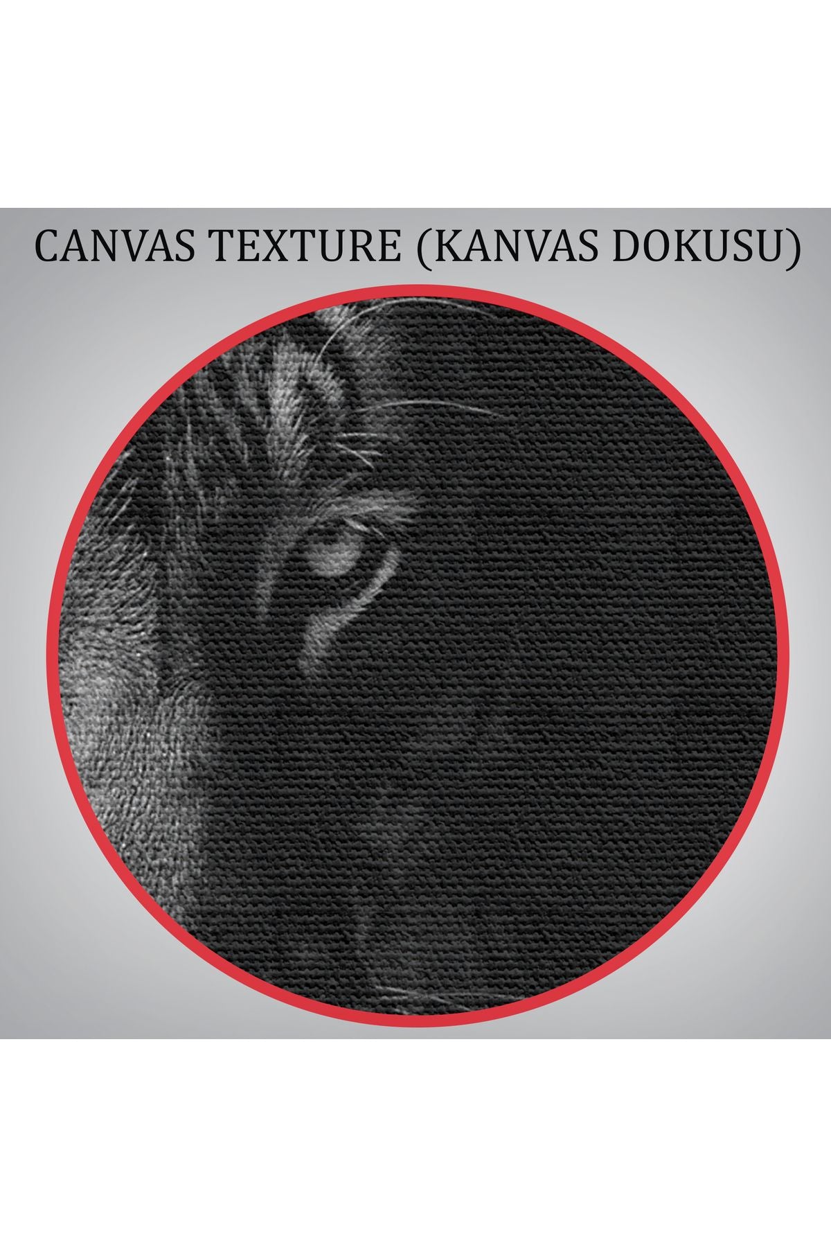 Kaplan Dekoratif Kanvas Tablo 1163