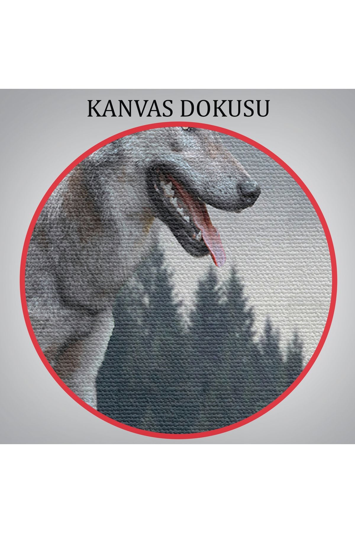 Bozkurt Dekoratif Kanvas Tablo 1148