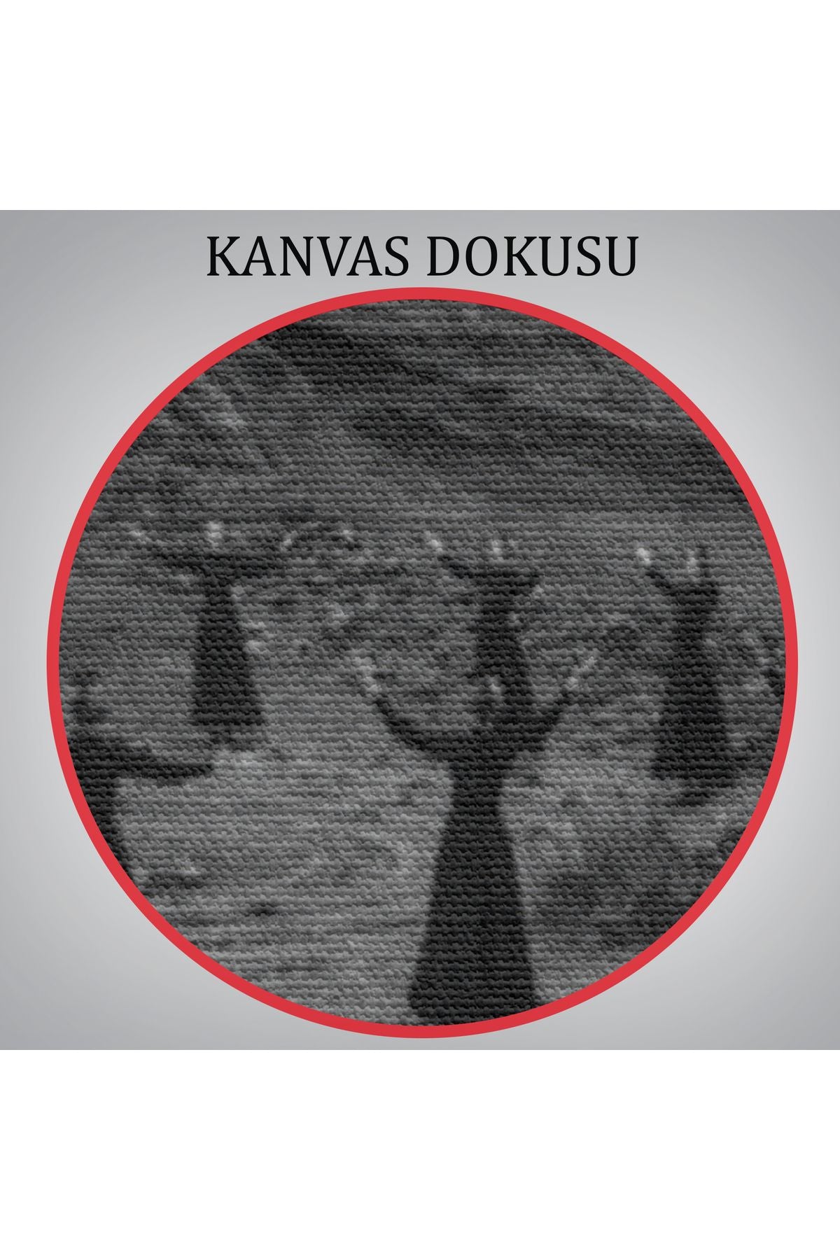 DB HG Rochester Cadılarının Pagan Ayini Tablosu-6578