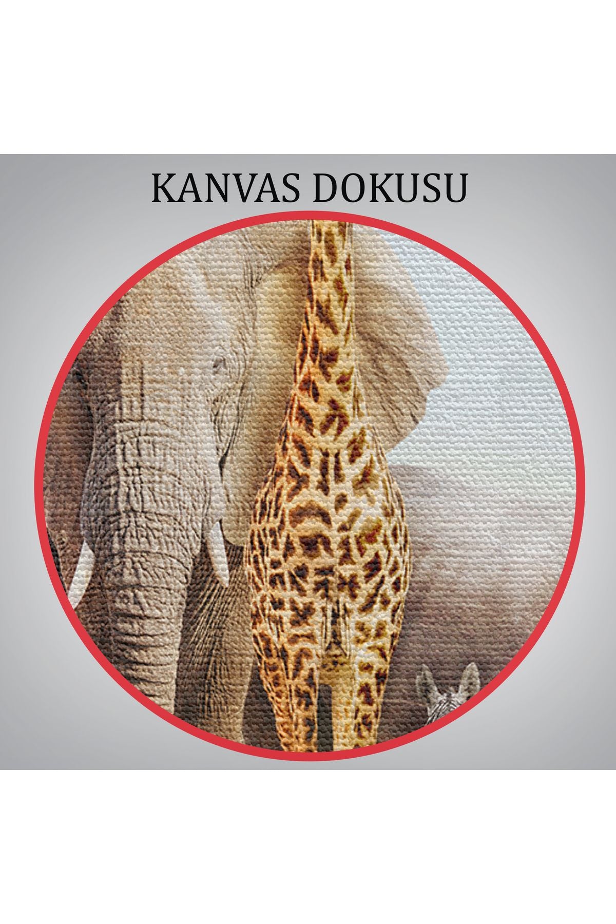 Hayvanlar Alemi Dekoratif Kanvas Tablo 1146