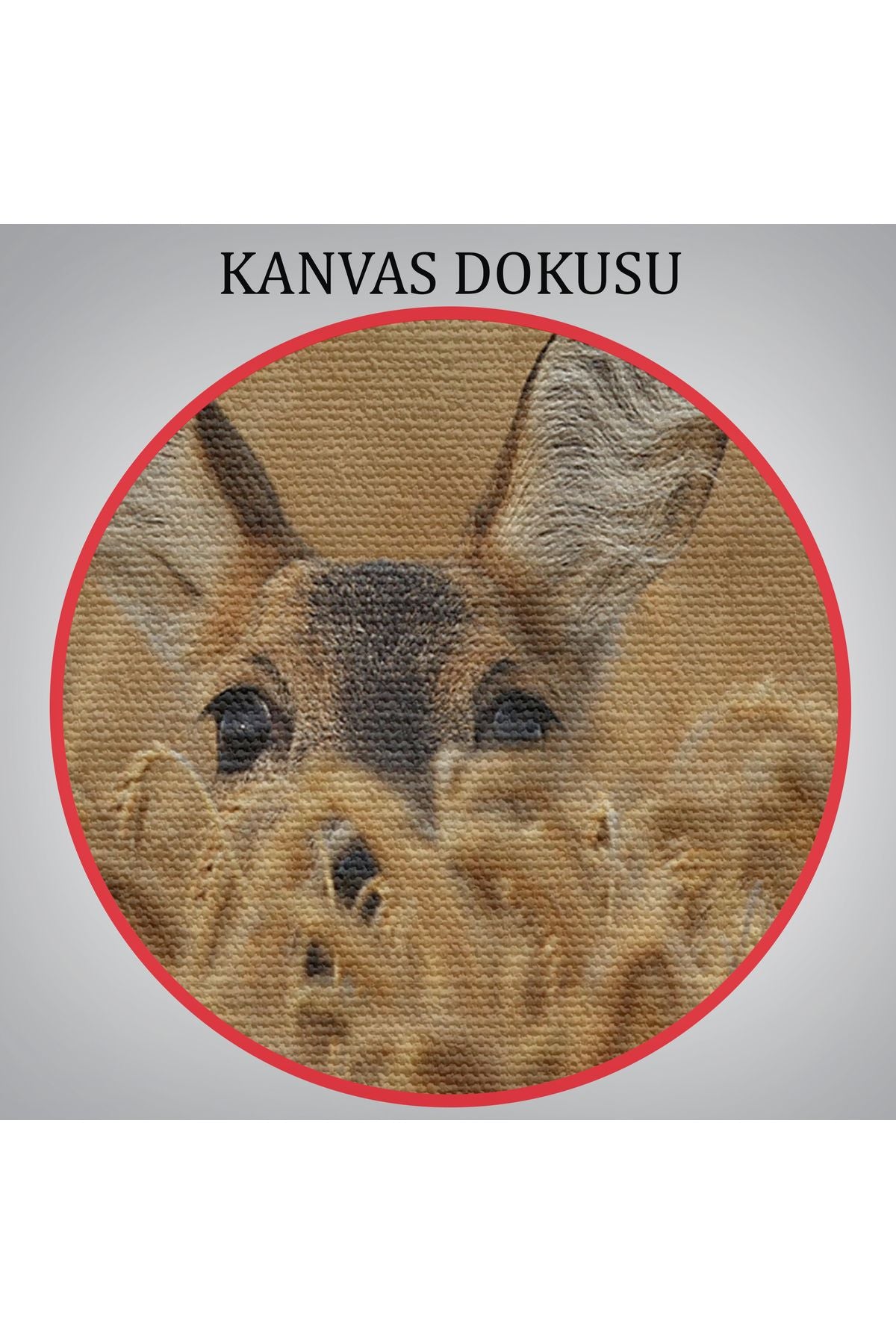 Ceylan Dekoratif Kanvas Tablo 1145