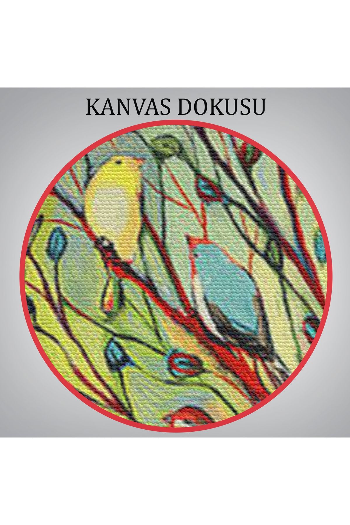 29 Kuş Tablosu - 27 Birds-6654