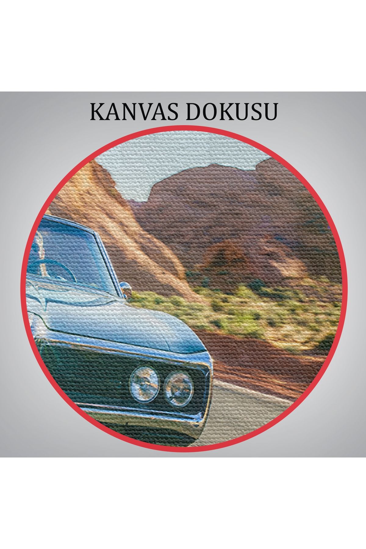 Çölde Eski Araba Dekoratif Kanvas Duvar Tablosu-3516