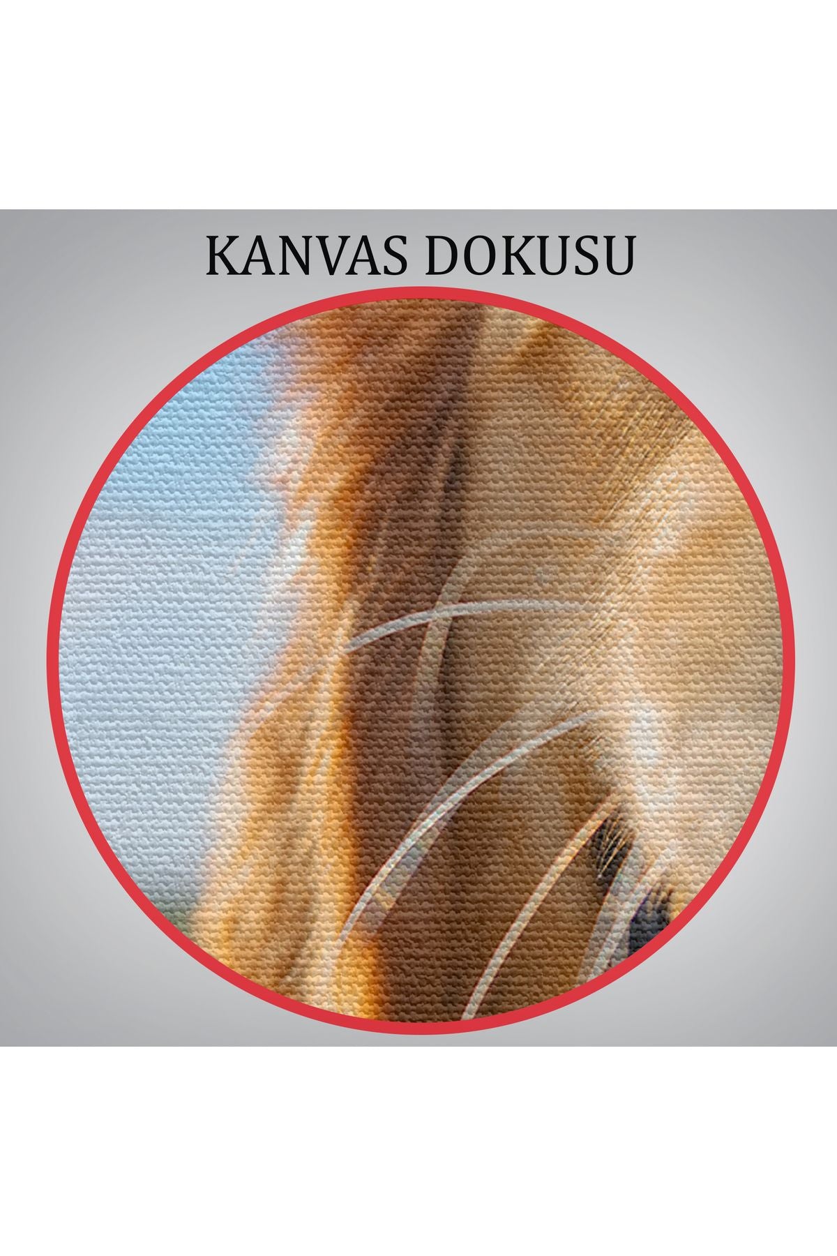 Köpek Dekoratif Kanvas Tablo 1130