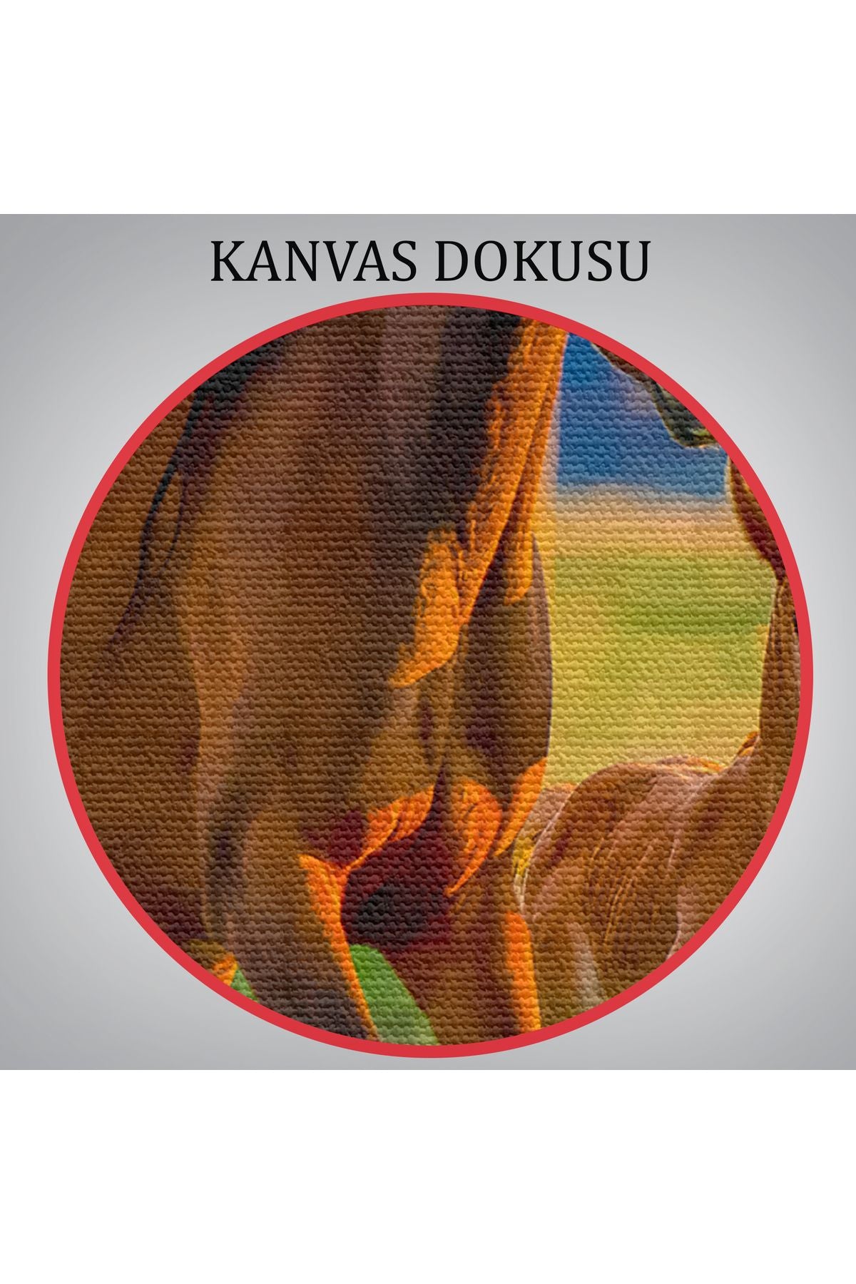 At ve Tay Manzaralı Dekoratif Kanvas Tablo 1173