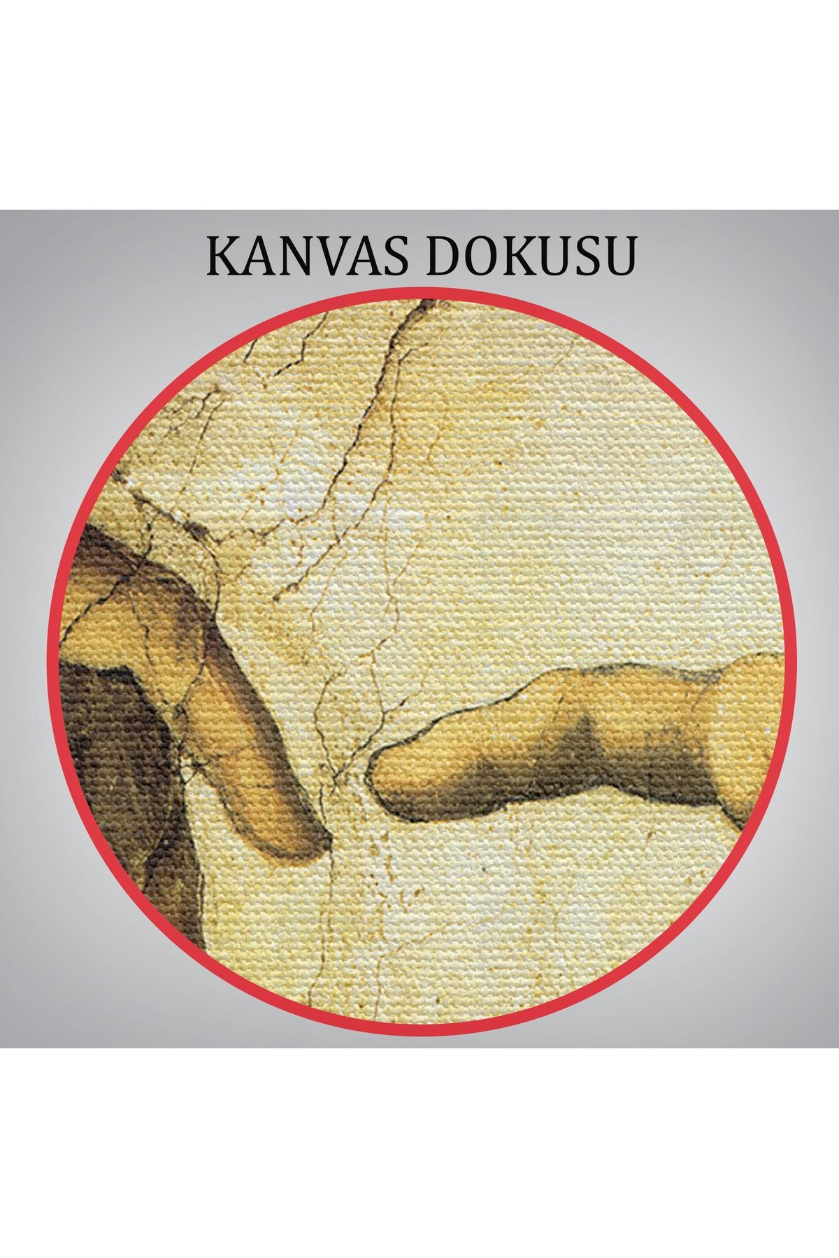 Ademin Yaratılışı Tablosu - The Creation of Adam-6596