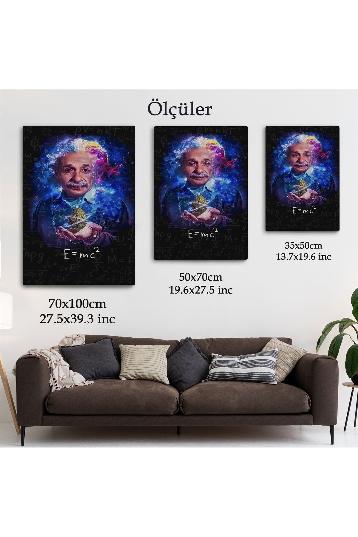 Albert Einstein E=mc2 Kanvas Tablo, Matematik Öğretmeninin Hediyesi-5244