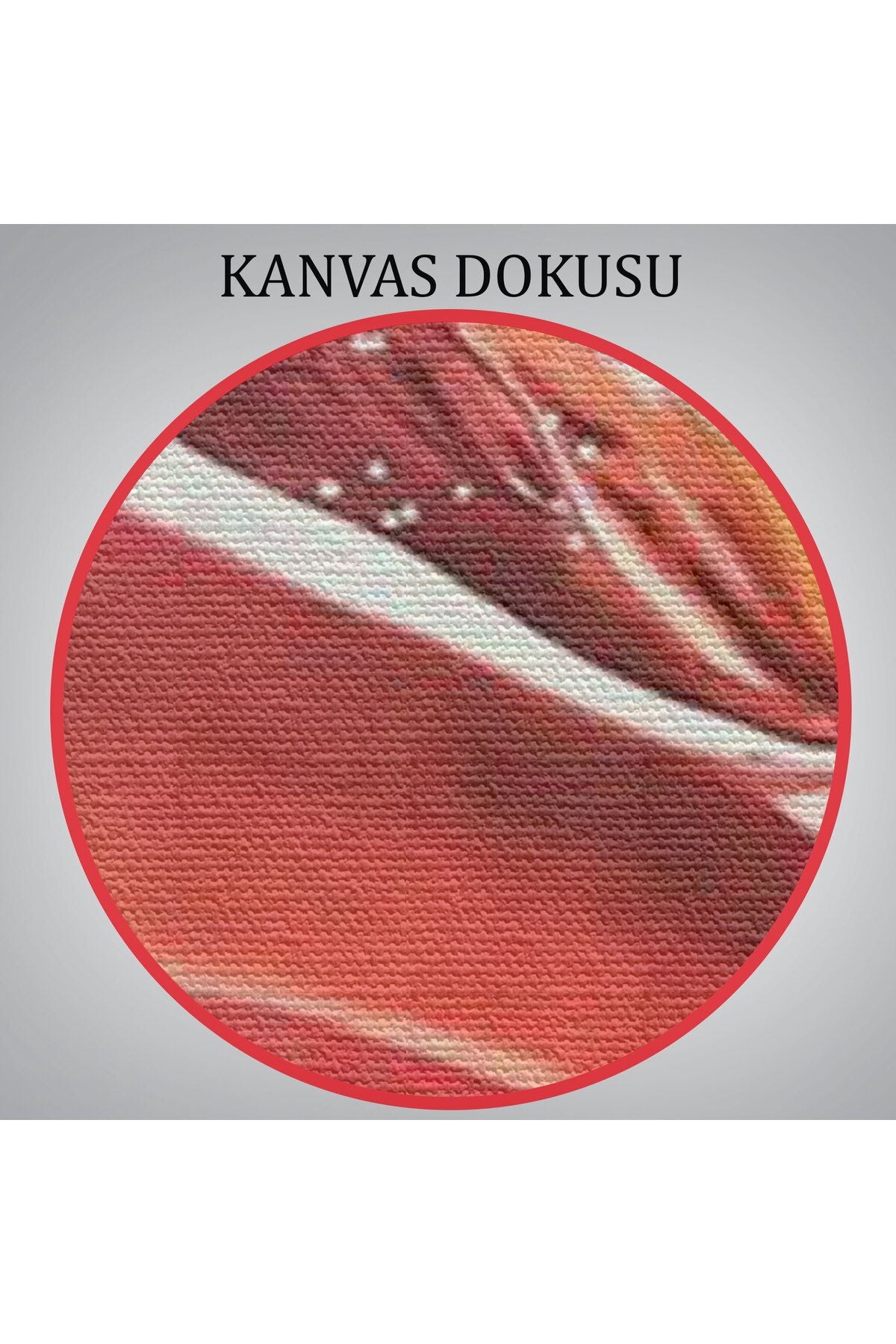 Sualtında Yüzen Kadın Tablosu-5873