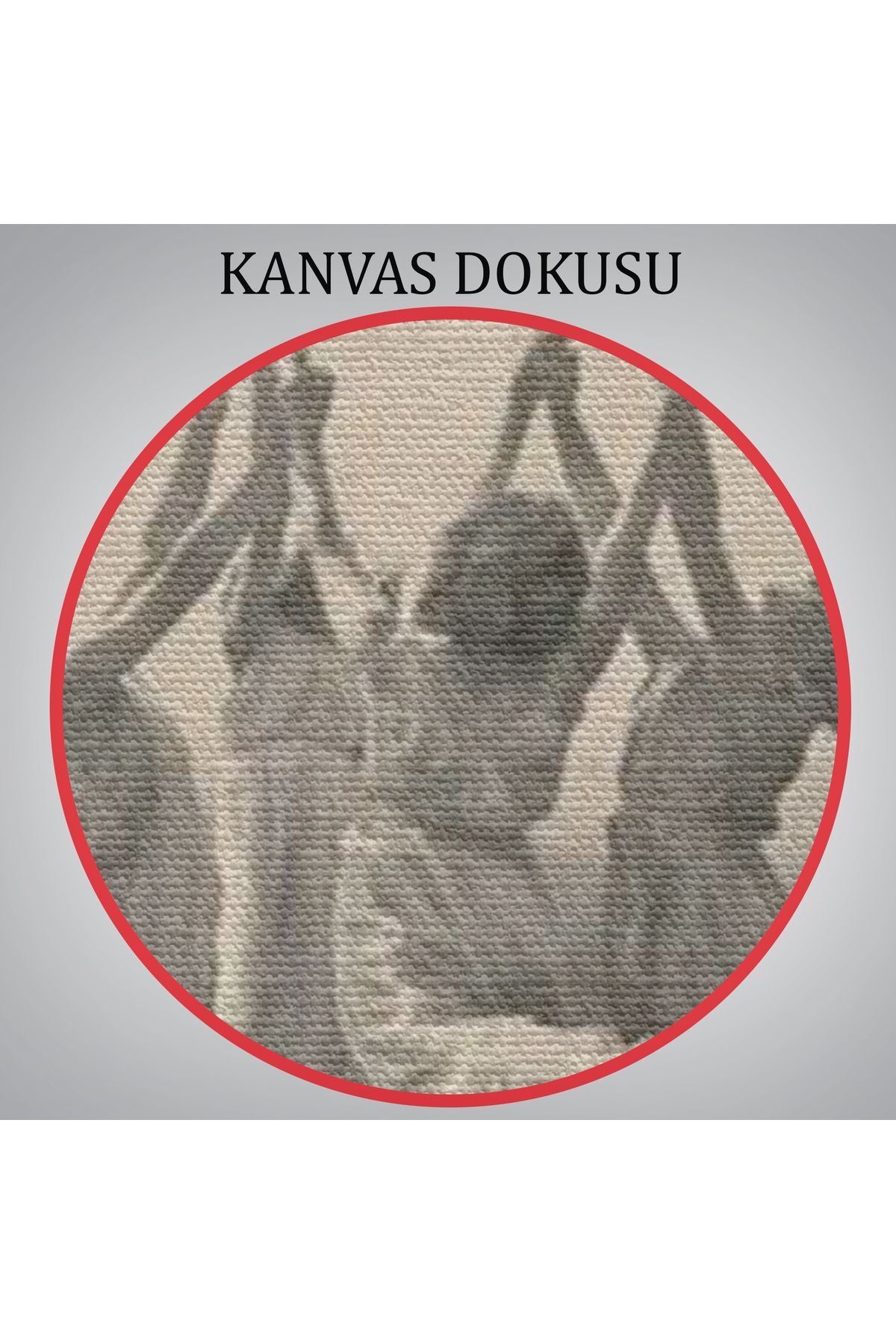 Özel Tasarım İsviçreli Fotoğrafçı Frederick Boissonnas Dans Eden Kadınlar Tablosu-6656