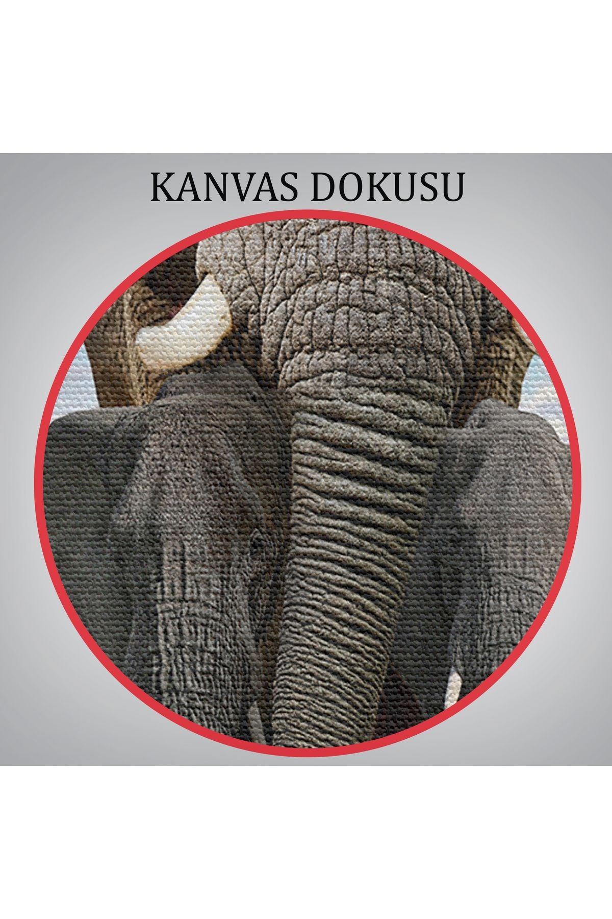 Fil ve Yavruları Dekoratif Kanvas Tablo 1134