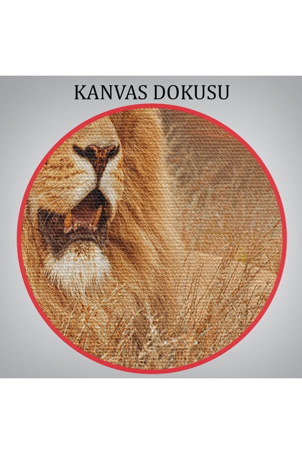 KY Özel Erkek Aslan Dekoratif Kanvas Tablo 1138
