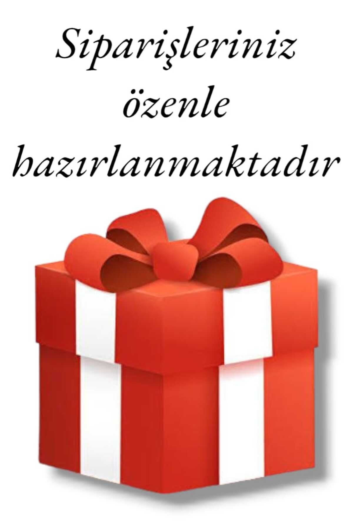 HG Türkçe Dünya Haritası Son Derece Ayrıntılı Eğitici ve Sembollü Kanvas Tablo 3180