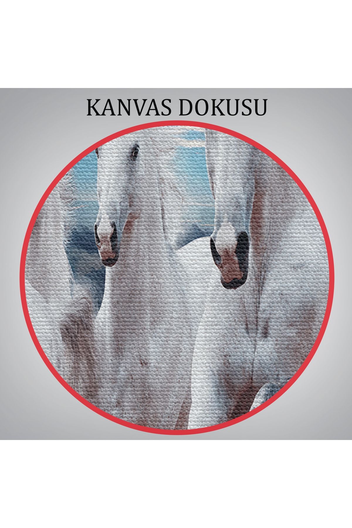 Sahildeki Koşan Beyaz Atlar Tablosu-6580
