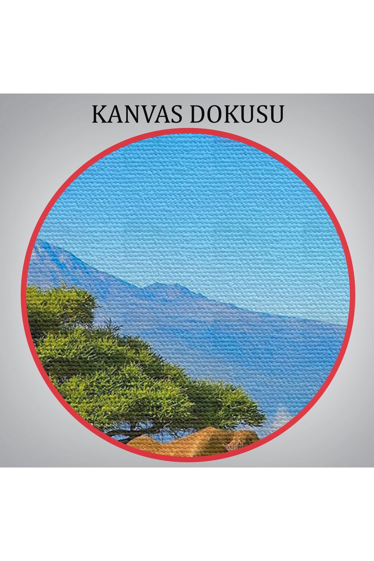 Fil Sürüsü Dekoratif Kanvas Tablo 1143