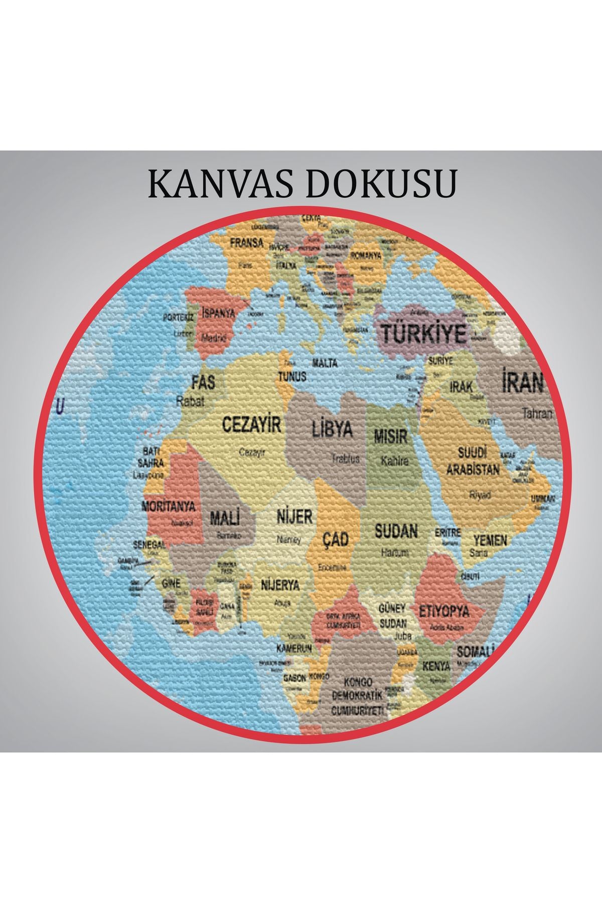 Türkçe Dünya Haritası Ülke Başkentli ve Okyanuslu Dekoratif Kanvas Tablo 2228