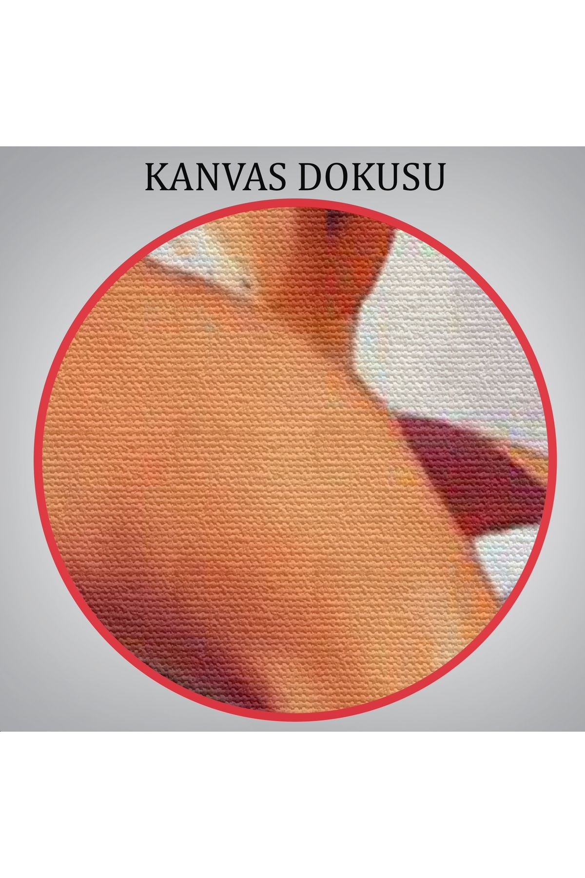 Tramplen Üstündeki Bikinili Sexi Kadın Dekoratif Duvar Tablosu-6157