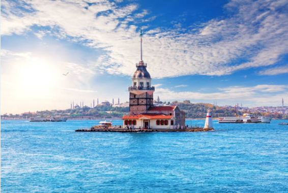 Bizon Dekoratif Kanvas Tablo