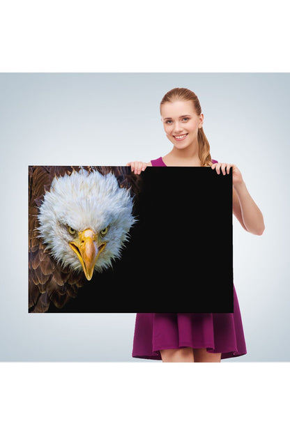 Kartal Dekoratif Kanvas Tablo 1132