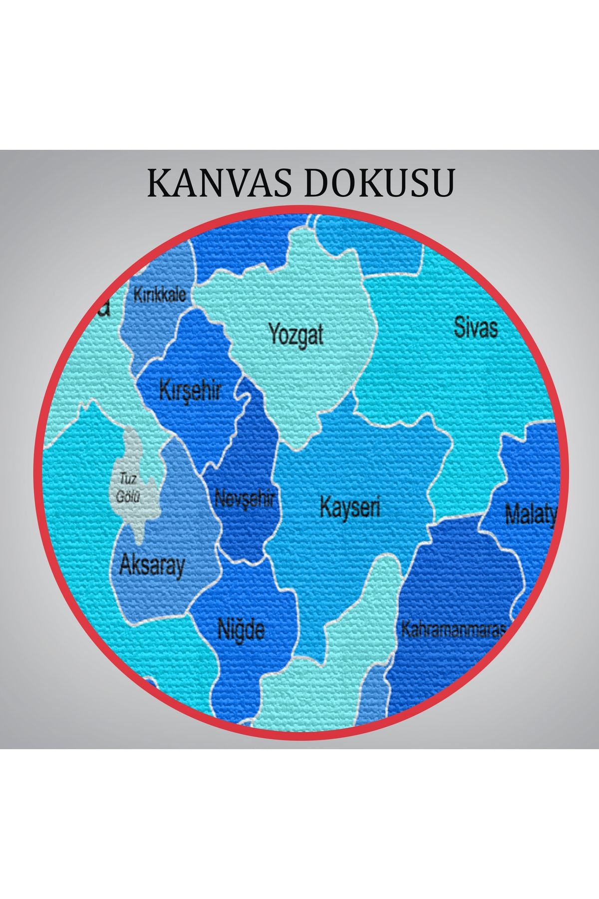 Türkiye Haritası Kanvas Tablo Sınır Komşulu Eğitici Dekoratif Tablo 3086