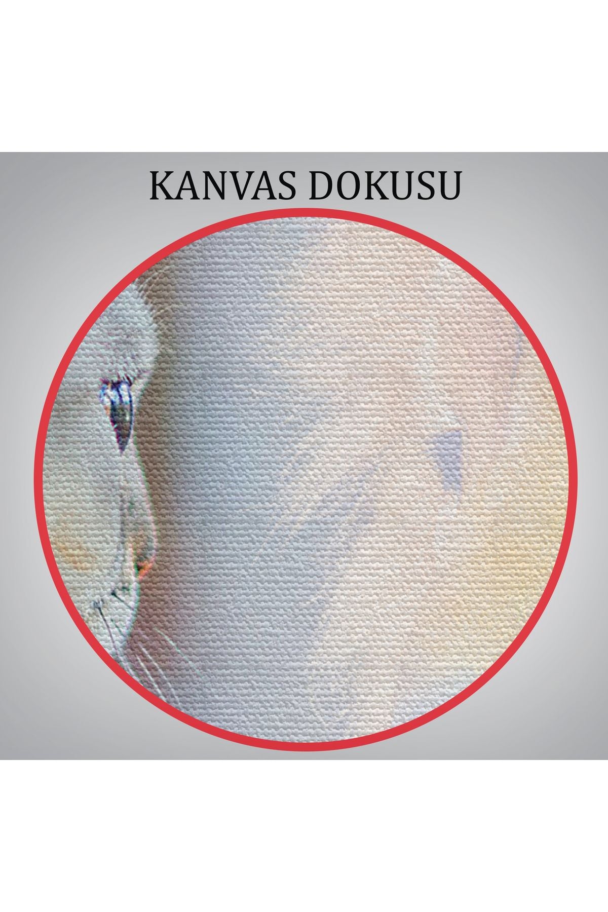 Kendini Aslan Gören Kedi Dekoratif Kanvas Tablo 1175