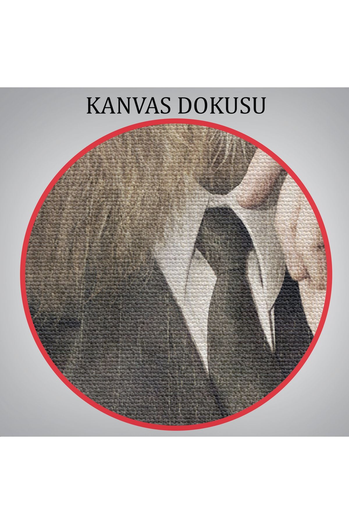 Özel Tasarım Aslan Kafalı İnsan Kanvas Tablo-4993