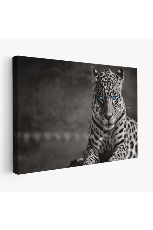 Mavi Gözlü Leopar Dekoratif Kanvas Tablo 1162