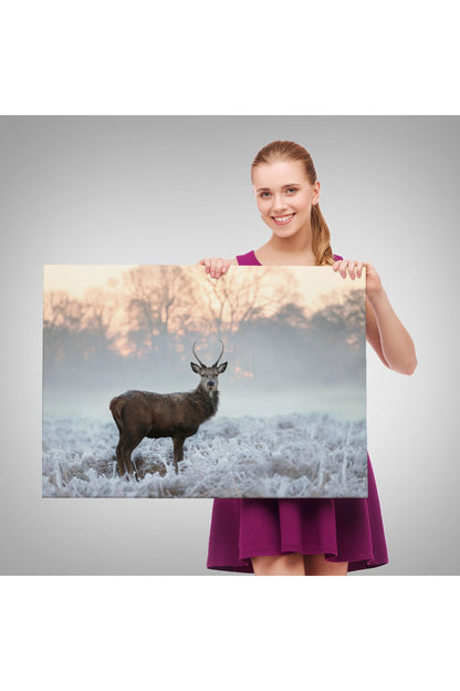 Kanvas Tablo, Duvar Dekoru, Geyik, Hayvan Temalı 1166 BUNGKNV