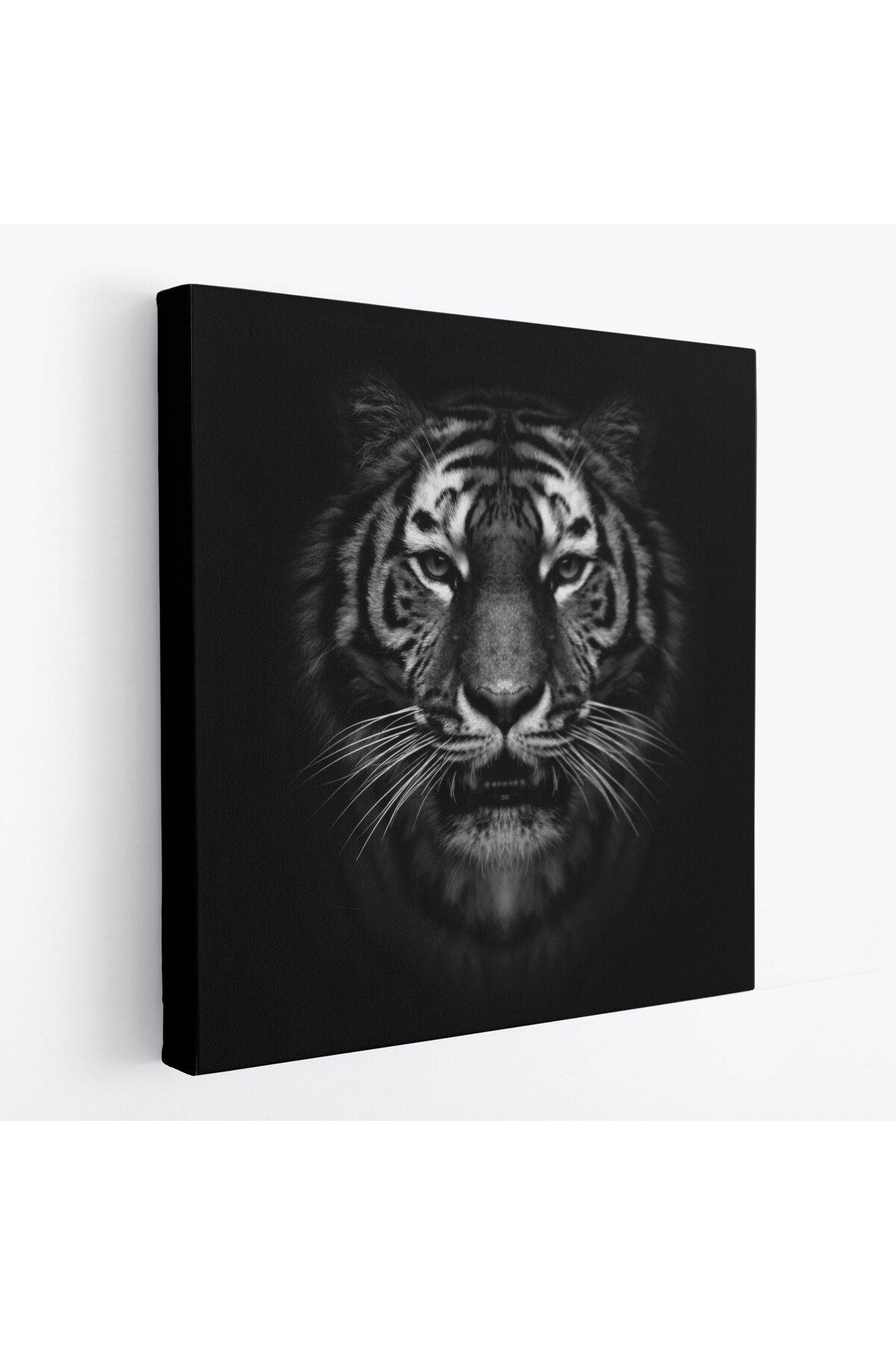 Kaplan Dekoratif Kanvas Tablo-5808