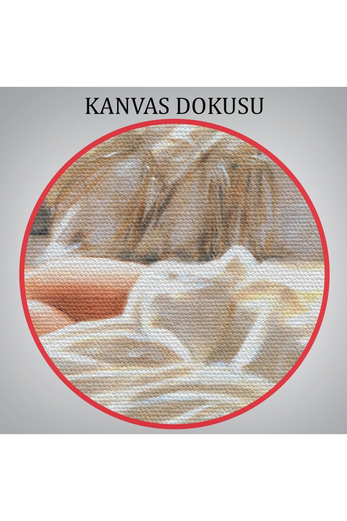 Yataktaki Güzel Kadın Dekoratif Duvar Tablosu-6607